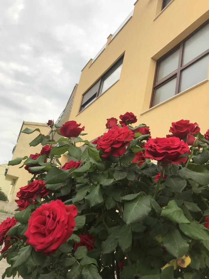 Apartman Mig Solin Extérieur photo